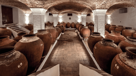 Wine Tasting Adega José de Sousa