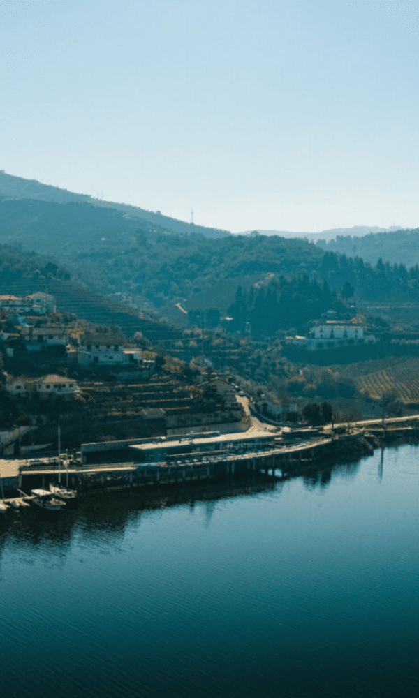 DOC RESTAURANT DOURO VALLEY CHEF RUI PAULA