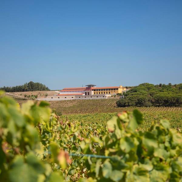Bairrada Bairrada