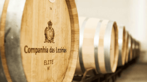 COMPANHIA DAS LEZÍRIAS GUIDED TOURS AND WINE TASTING