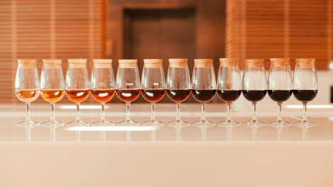 ESPAÇO PORTO CRUZ GUIDED TOURS AND WINE TASTING