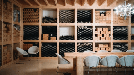 HERDADE DA MALHADINHA NOVA GUIDED TOUR AND WINE TASTING