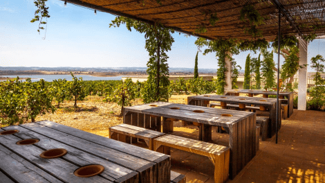 Herdade do Esporão - Guided Tour & Wine Tasting