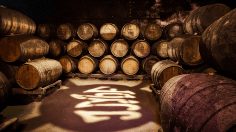 JOSÉ MARIA DA FONSECA - TOUR TO THE HOUSE MUSEUM + WINE TASTING