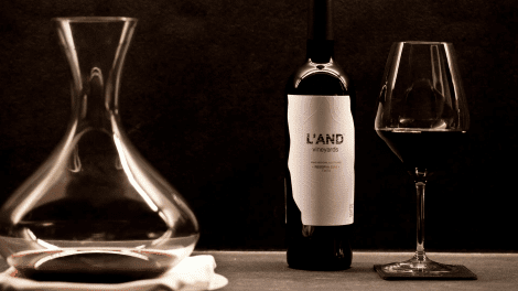 L'AND VINEYARDS - GUIDED TOUR + WINE TASTING