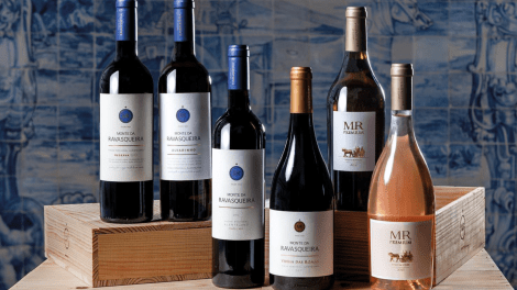MONTE DA RAVASQUEIRA - GUIDED TOUR + WINE TASTING