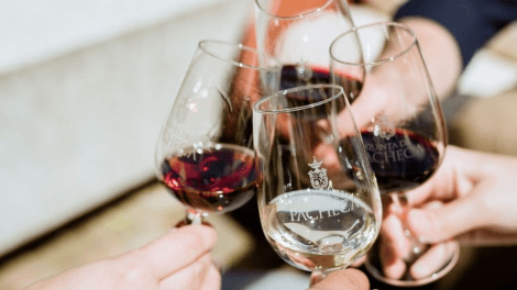 QUINTA DA PACHECA - GUIDED TOURS + WINE TASTING