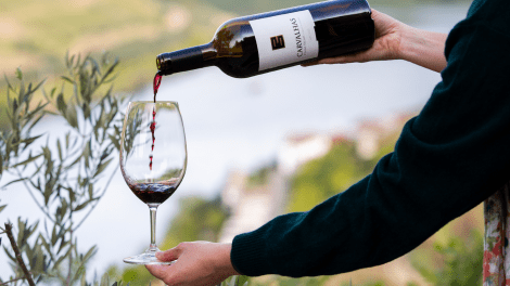 QUINTA DAS CARVALHAS - GUIDED TOUR + WINE TASTING