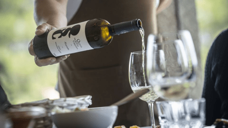 QUINTA DE SANTA CRISTINA - GUIDED TOURS + WINE TASTING