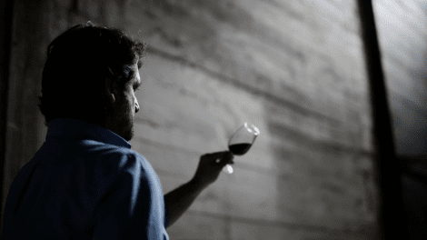 QUINTA DO GRADIL - GUIDED TOURS + WINE TASTING