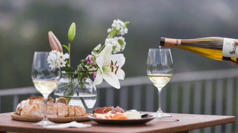 QUINTA DO SOALHEIRO | BEST GUIDED TOUR IN VINHO VERDE REGION