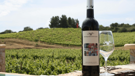 QUINTA DOS VALES WINE ESTATE - GUIDED TOURS + WINE TASTING