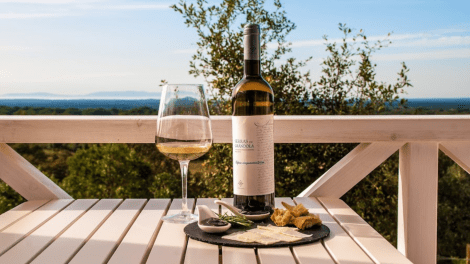 SERENADA ENOTURISMO - GUIDED TOURS + WINE TASTING