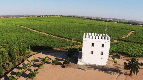 HERDADE DO ESPORÃO - ADVENTURE AND SPORT