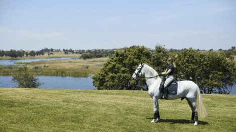 HERDADE DOS GROUS - ADVENTURE AND SPORT