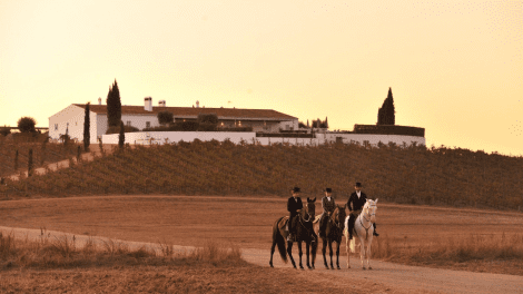 HERDADE DA MALHADINHA NOVA - ADVENTURE AND SPORT