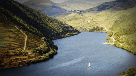 DOURO À VELA
