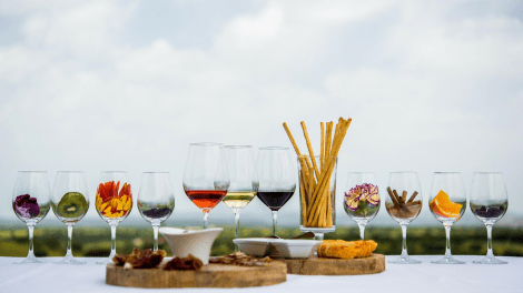 Adega Mayor Curso de vinhos 