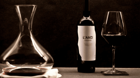 L'AND VINEYARDS CURSO DE VINHO