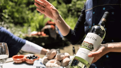 QUINTA DA AVELEDA CURSO DE VINHO