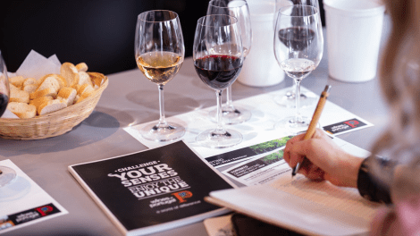 WINES OF PORTUGAL TASTING ROOM - PORTO